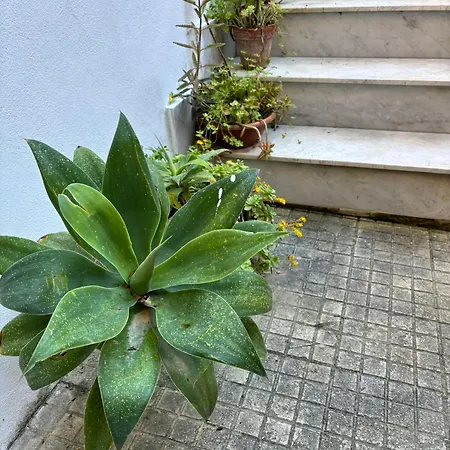 Vendégház A Casuzza Di Giu Giu - Nuova Gestione