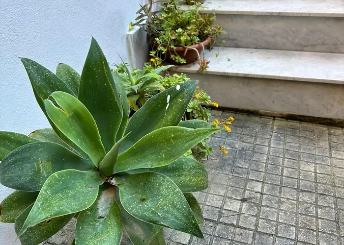 Vendégház A Casuzza Di Giu Giu - Nuova Gestione